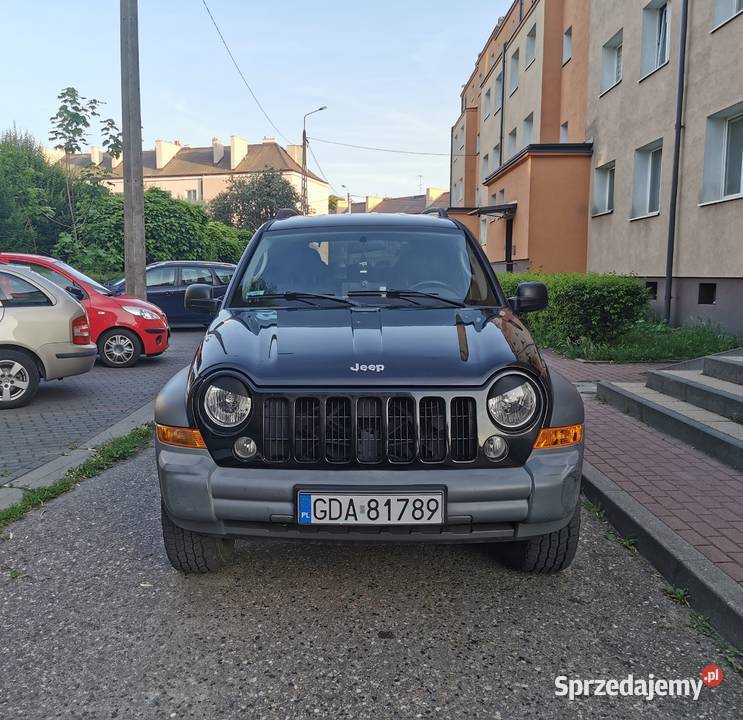 Brewki angry eyes jeep cherokee liberty kj Pruszcz Gdański sprzedam