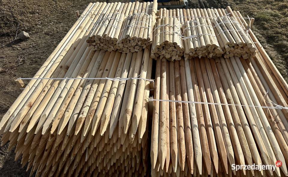 Paliki drewniane okrąglaki do nasadzeń ostrzone Pabianice