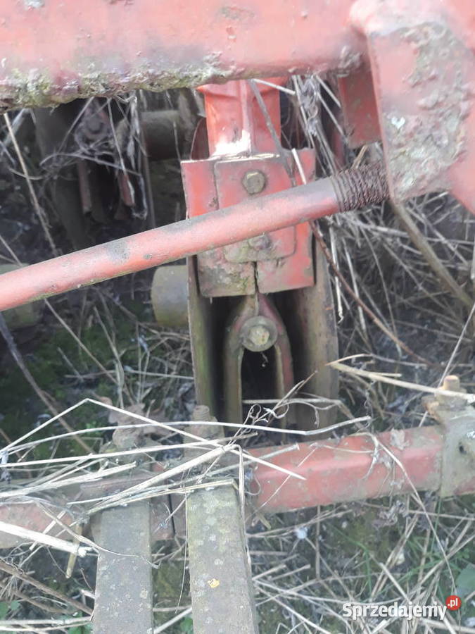 Siewnik rozyjski redlica talerzowa Przyszowice