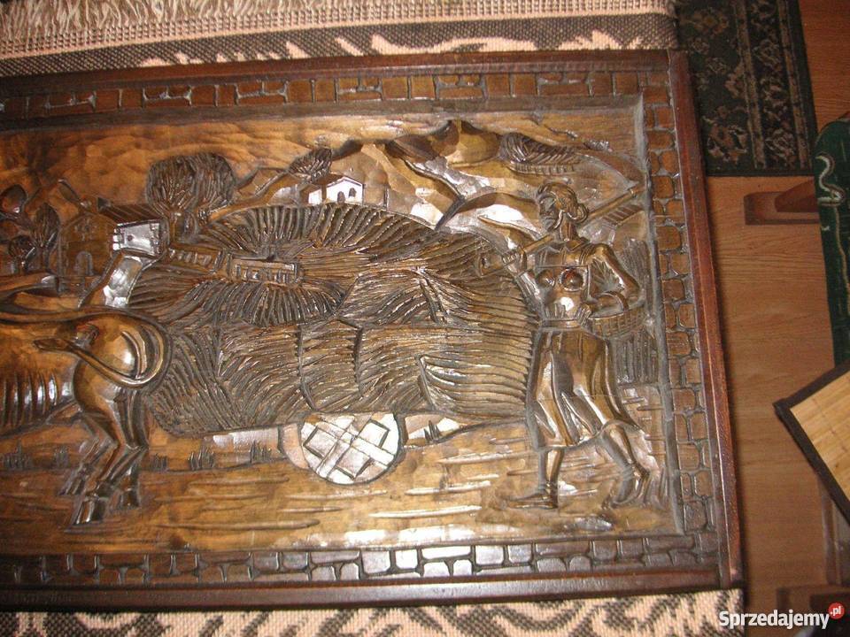 WIELKA PŁASKORZEŻBADREWNO 101x41x35 Wrocław sprzedam