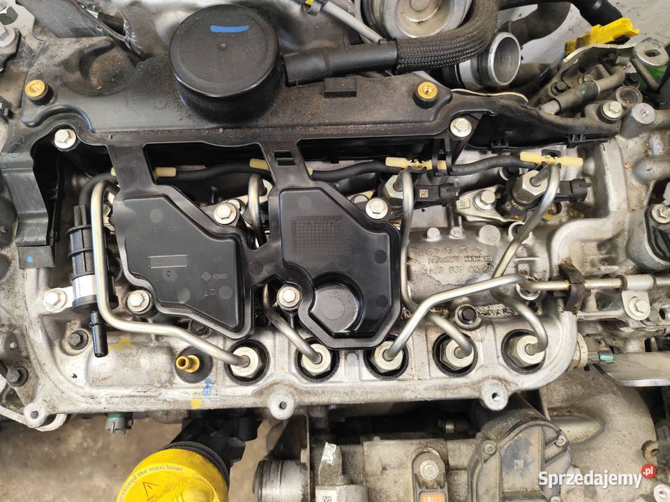 Silnik 20 dCi M9R Renault Opel Nissan Sędziszów sprzedam