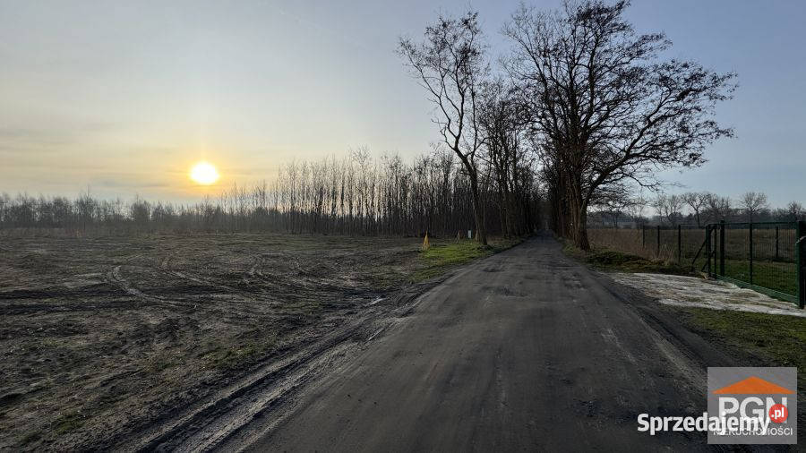 Działka 2002m2 Buniewice woda