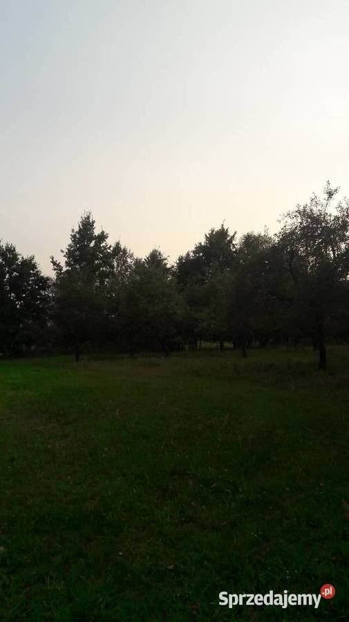 Duza działka mazowieckie Bierwiecka Wola