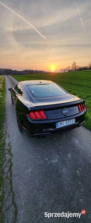 Ford Mustang 50 GT 450 koni Automat śląskie Mikołów sprzedam