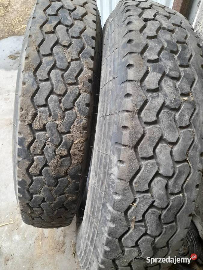 Opony kujawsko-pomorskie Lipno