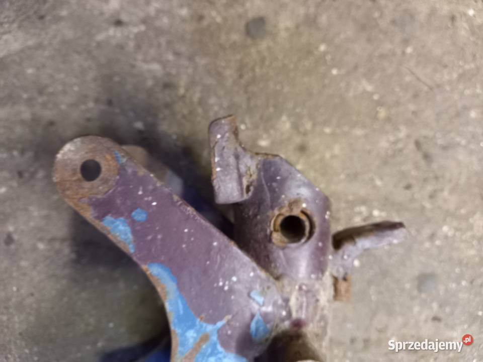 Rama komar sztywniak mazowieckie Sokołów Podlaski