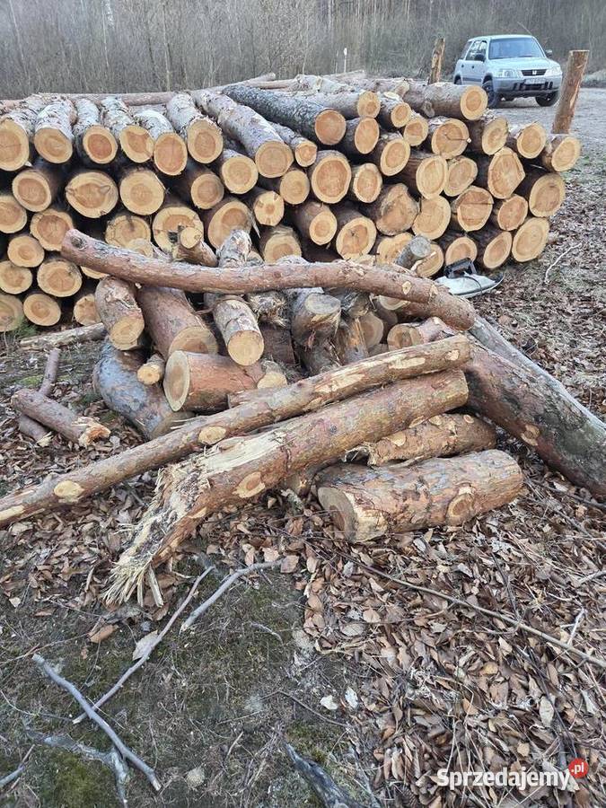 Cięcie drewna na opał wycinanie samosiejek Zator