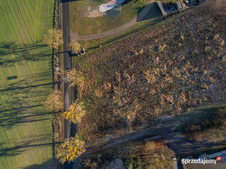 Działka budowlana 20 min Poznania A2 Buk