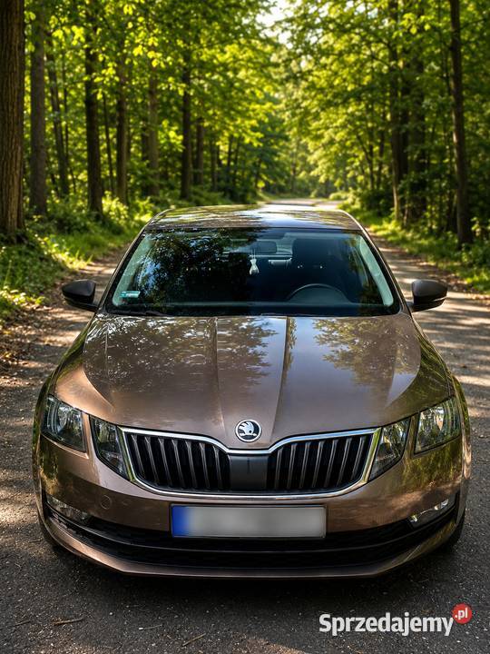 Skoda Octavia 16 TDI 115 2020 Climatronic Gotowa elektryczne lusterka