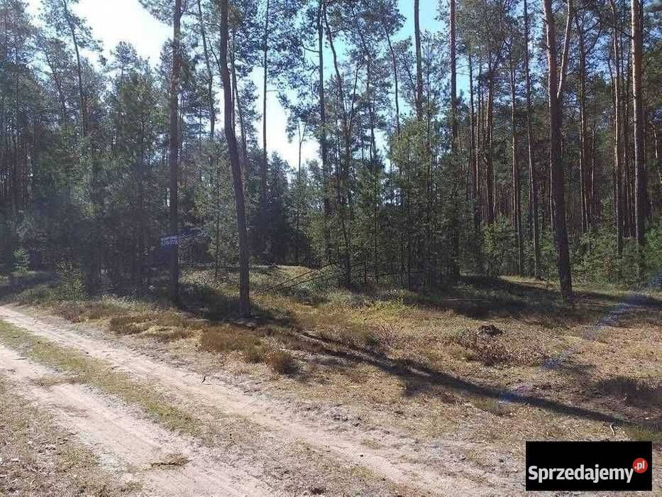 Działka leśna rekreacyjna biznes zamiana mazowieckie Mińsk Mazowiecki