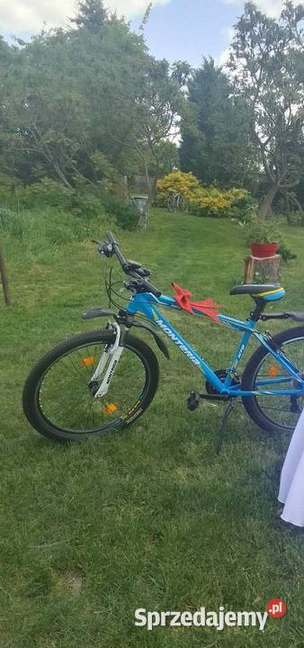 Rower górski monteria mtb mrx 26 dolnośląskie Jakuszów
