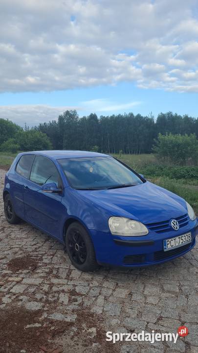 Na sprzedaż Golfa 5 19 tdi Rok produkcji 2004 lubuskie Trzebicz