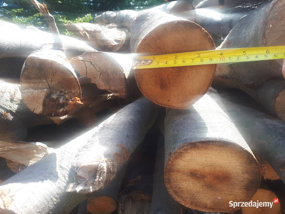 Drewno drzewo buk transport Ustroń