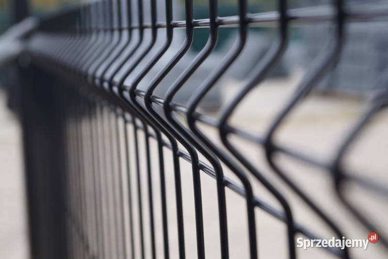 LIMEX Egiertowo kompletnie ogrodznie panelowe Kielno