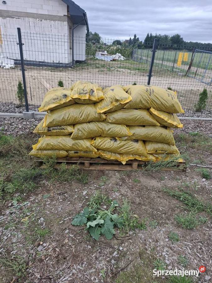 Kora Ogrodowa Więcbork
