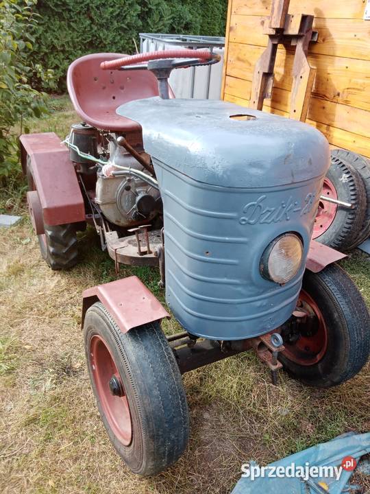 Sprzedam dzik 21 Przeworsk