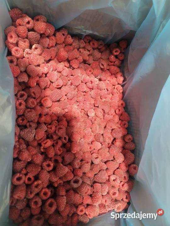 Mrożone jagody grzyby warzywa owoce Chorzów