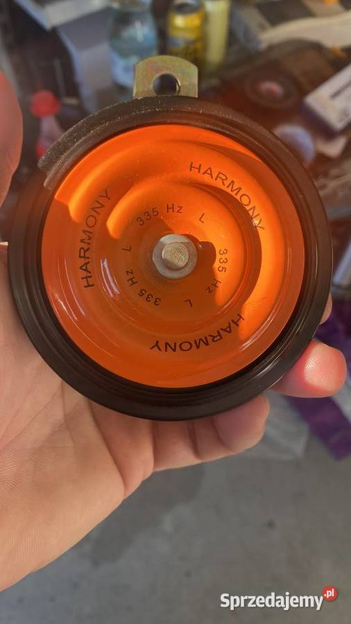 MZ etz SAXON lubuskie Mycielin