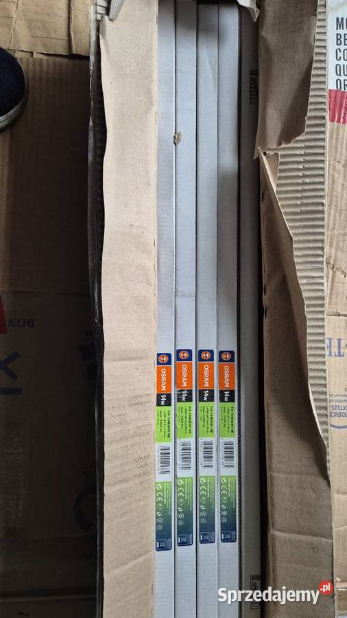 Osram FH 14W840 HE