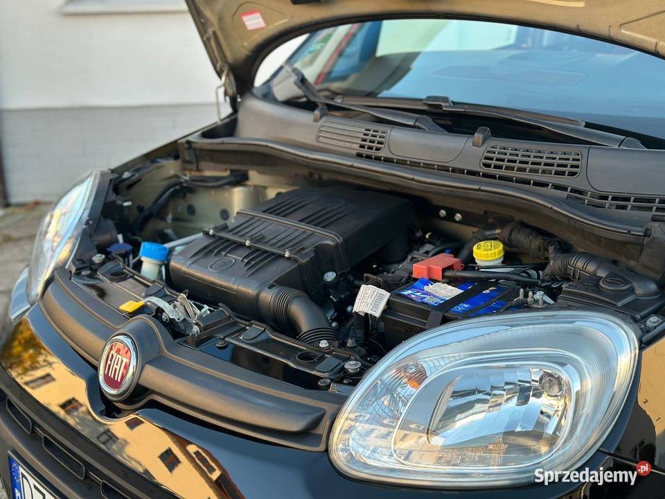 Fiat Panda 12 Lounge Zgorzelec