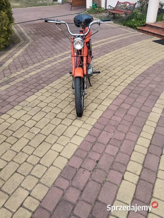 Pegaz Zarejestrowany Wyszków
