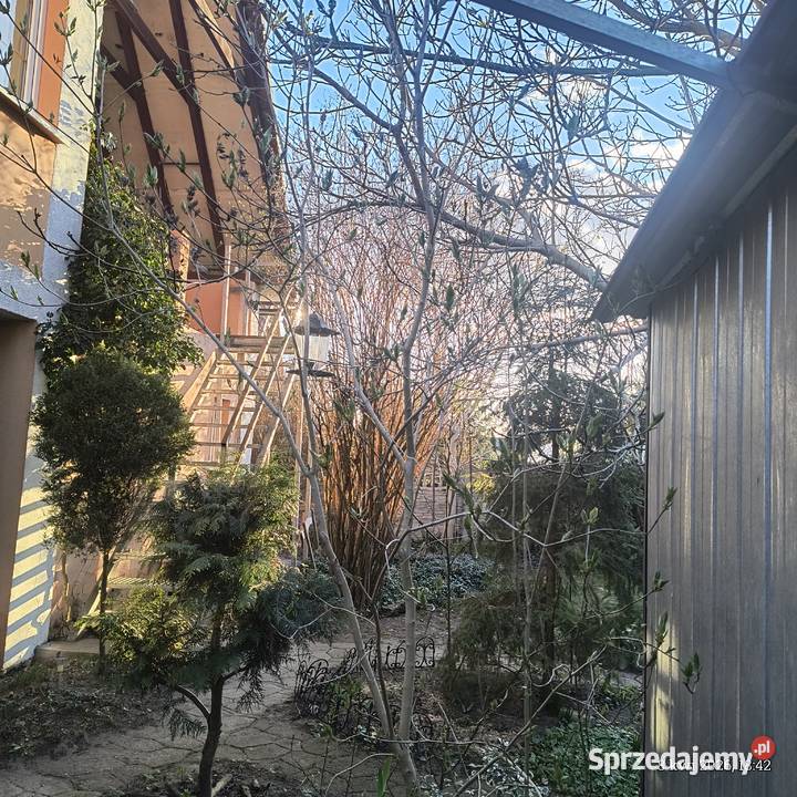 Dom na sprzedaż wolnostojący Zielona góra Ochla lubuskie