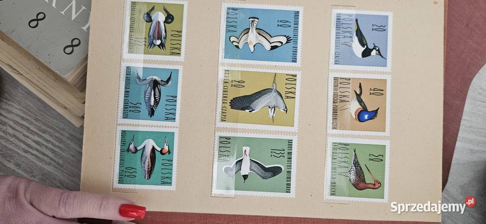 Znaczki pocztowe Pozostałe Wrocław