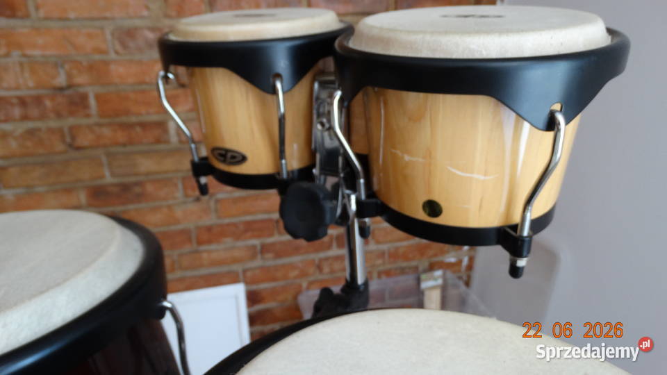 Konga djembe zestaw Oborniki