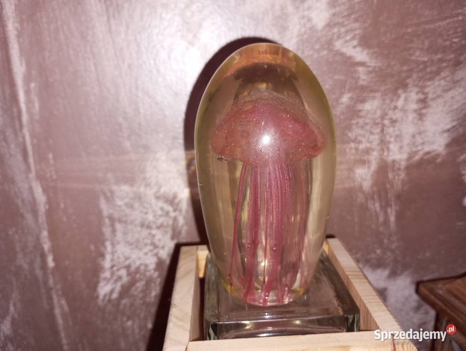 Szklany przycisk do papieru z meduzą lubelskie Biłgoraj