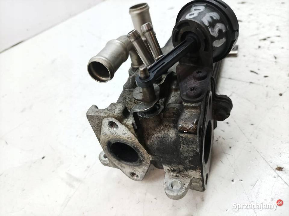 CHŁODNICA SPALIN 03G131513 20 TDI VW Volkswagen sprzedam