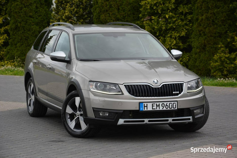 koda Octavia 20TDI184MScout Duża Navi Kamera 4/5 mazowieckie Ostrów Mazowiecka