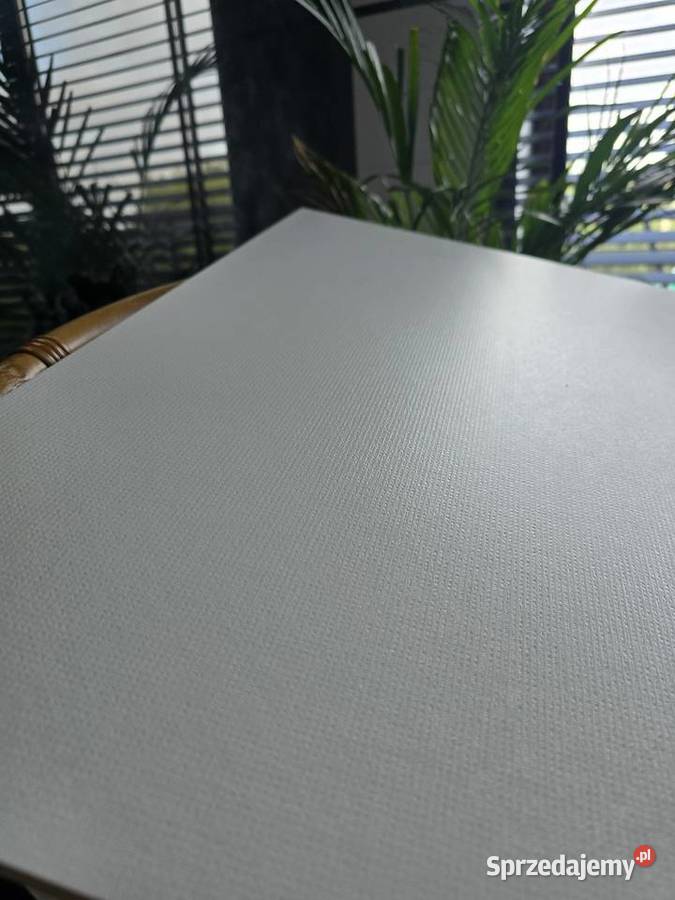 PŁYTKA SCARLET WHITE MATT 60x60 GAT III TUBĄDZIN