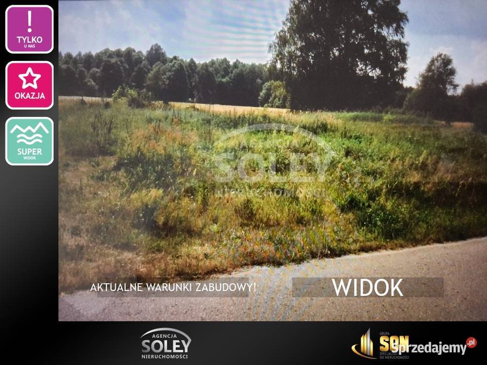 Widokowe trzy dzialki lasu Śródborze