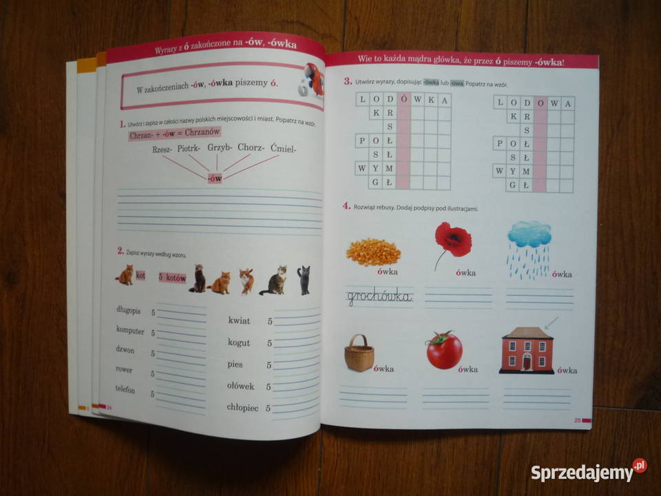 Elementarz odkrywców 2 Potyczki ortograficzne Szczecin sprzedam