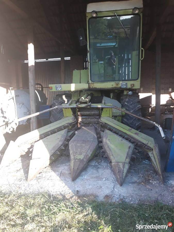 Sieczkarnia Class Jaguar 80SF z gniotownikiem Jaszczołty