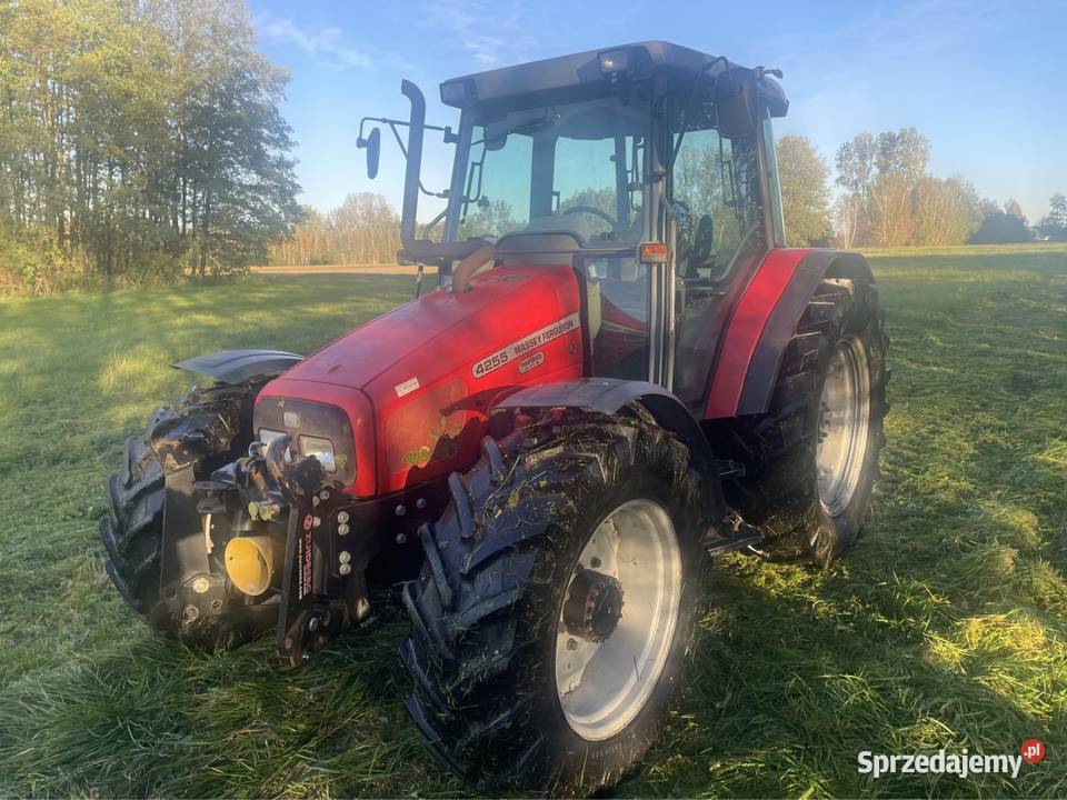Massey Ferguson 4255 Massey Ferguson łódzkie Góra Bałdrzychowska