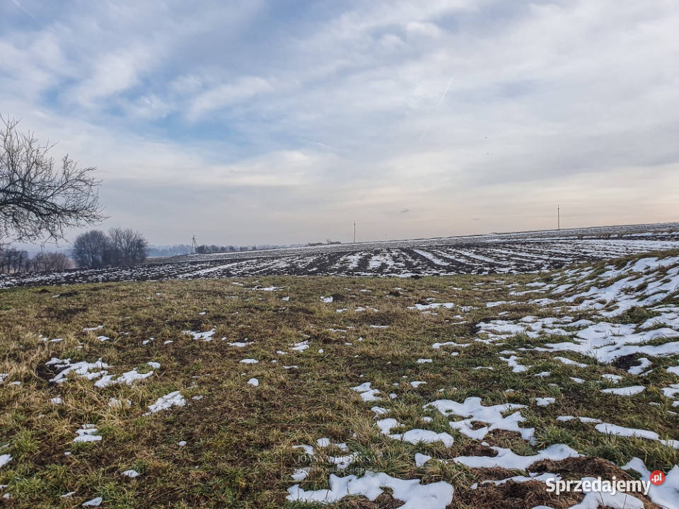 Działka budowlana 17 arowa w Kocmyrzowie Kocmyrzów sprzedam