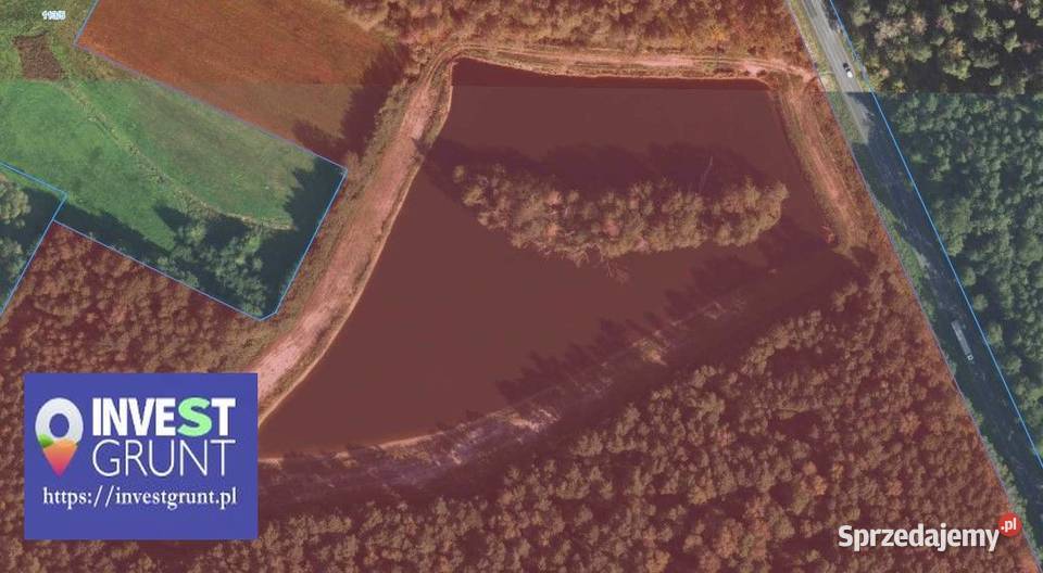 1291 ha stawy rybne przetarg na dzierżawę Kuźniki