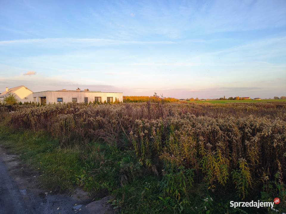 Działka z warunkami Pigża Nieruchomości kujawsko-pomorskie
