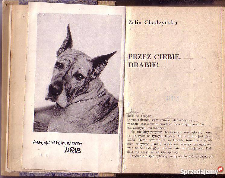 8597 DRABIE ZOFIA CHĄDZYŃSKA Czyrna sprzedam
