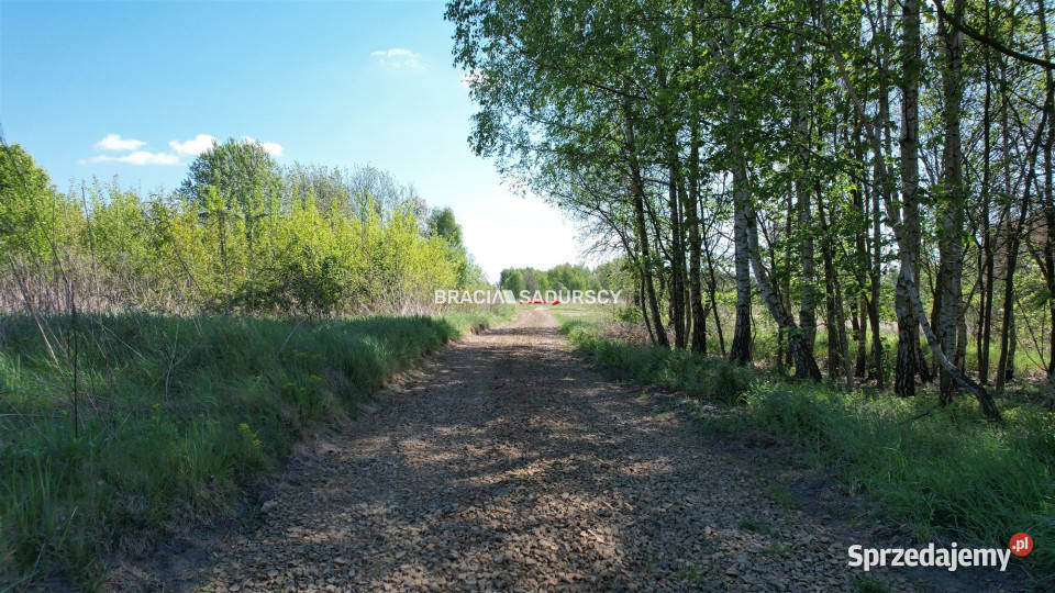 sprzedaży działki 5290m2 Przeginia Narodowa