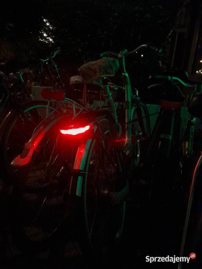 DAMKA HOLENDERSKA GAZELLE lubelskie Łuków