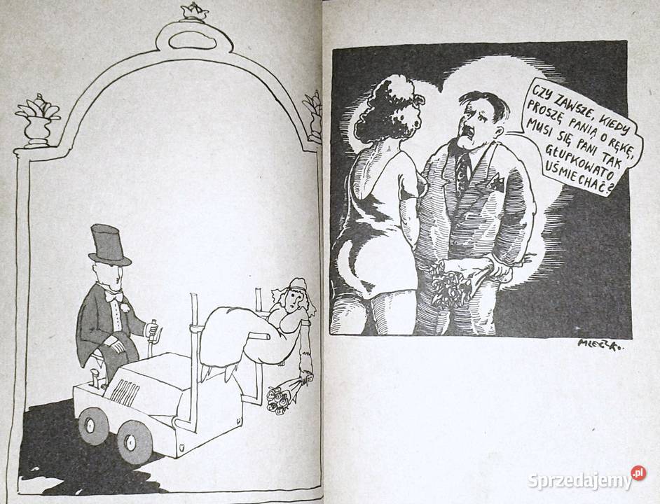 Obrazy Andrzej Mleczko Chełm