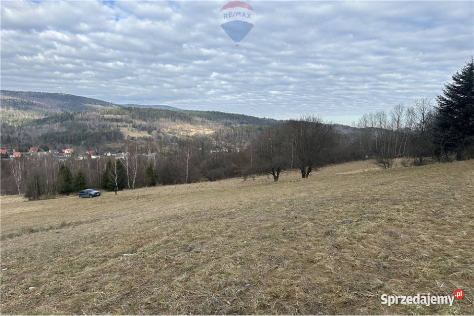 Duża działka 30 arów z 2 HA prywatnego lasu Las