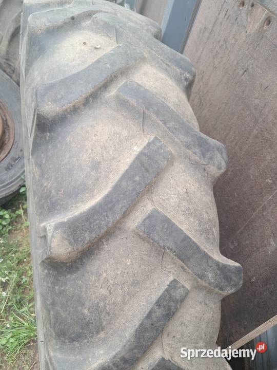 12432R Bieniew