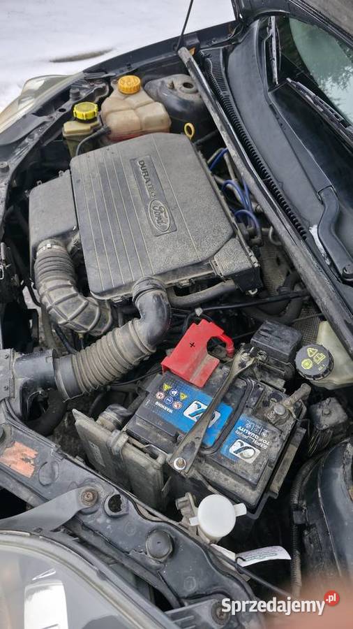 Sprzedam ładnego Forda fiestę polift Zarejestrowany w Polsce Chodzież