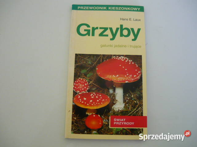 Poradnik Kultura i Rozrywka Myszków