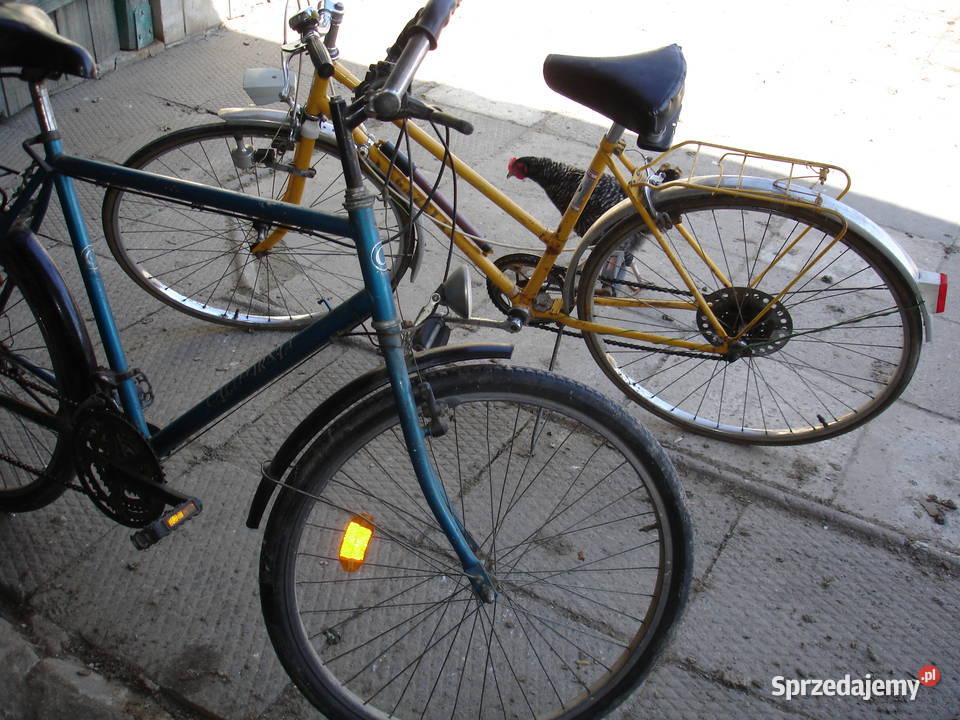 Rower męski i damski Iłża