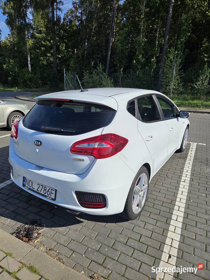 Kia Ceed PREMIUM SKÓRA 136 manual LED Klima Olsztyn