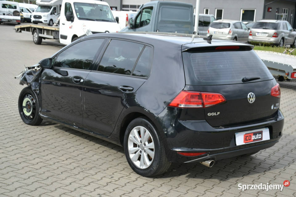 Volkswagen Golf 16 tdi 105 nawigacja niskie Golf Kęty